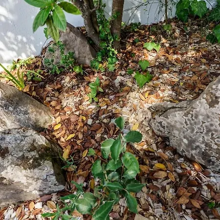 Grande Avec Jardin Et Ocean La Baule-Escoublac